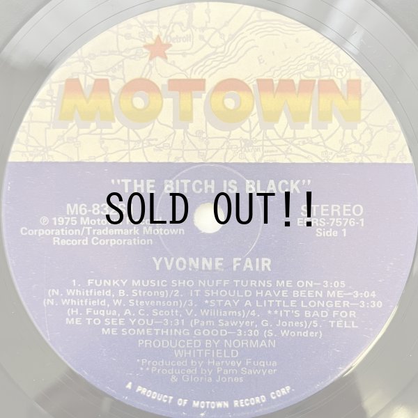 画像3: YVONNE FAIR / THE BITCH IS BLACK