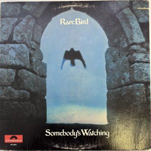 画像: RARE BIRD / SOMEBODY'S WATCHING