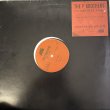 画像1: THE P BROTHERS  / ACROSS THE PLANET 