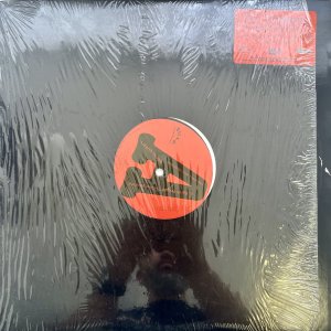 画像: DR.OCTAGON / EARTH PEOPLE