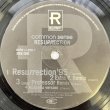 画像3: COMMON SENSE / RESURRECTION