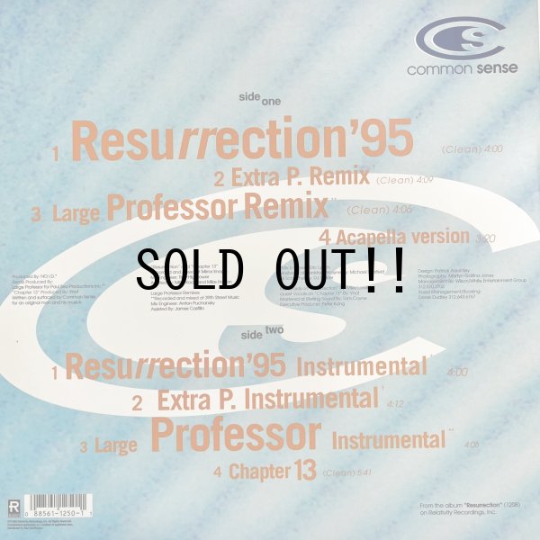 画像2: COMMON SENSE / RESURRECTION