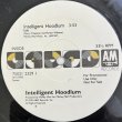 画像4: INTELLIGENT HOODLUM / BLACK AND PROUD