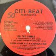画像2: SUPER LOVER CEE & CASANOVA RUD / DO THE JAMES...