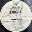 画像3: BIG L / EBONICS - SIZE 'EM UP