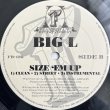 画像4: BIG L / EBONICS - SIZE 'EM UP