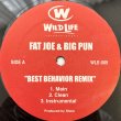 画像1: FAT JOE & BIG PUN / BEST BEHAVIOUR (REMIX) - A BLESS / MY LIFE'S ON THE EDGE
