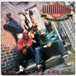 画像1: DIAMOND & THE PSYCHOTIC NEUROTICS / BEST KEPT SECRET（2枚入り）