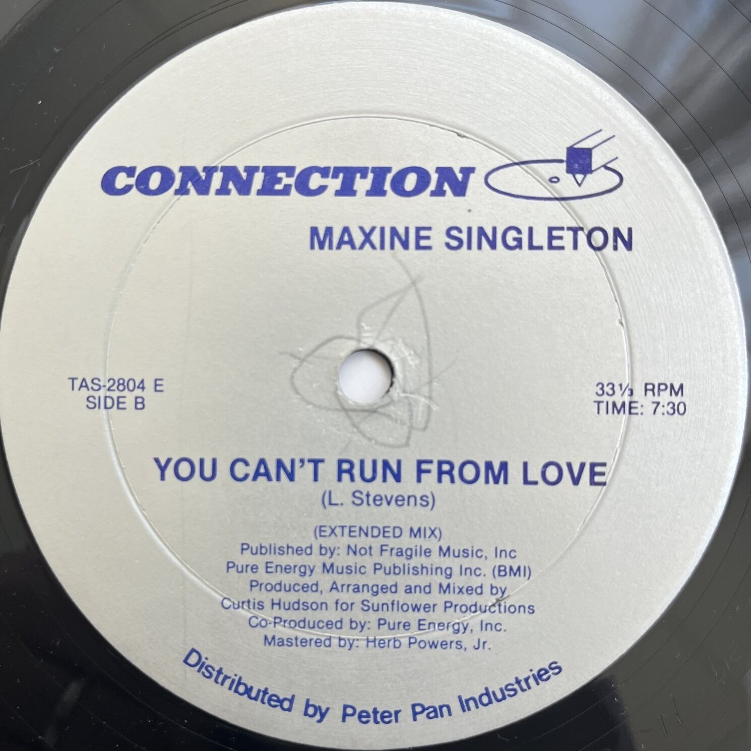 画像2: MAXINE SINGLETON / YOU CAN'T RUN FROM LOVE