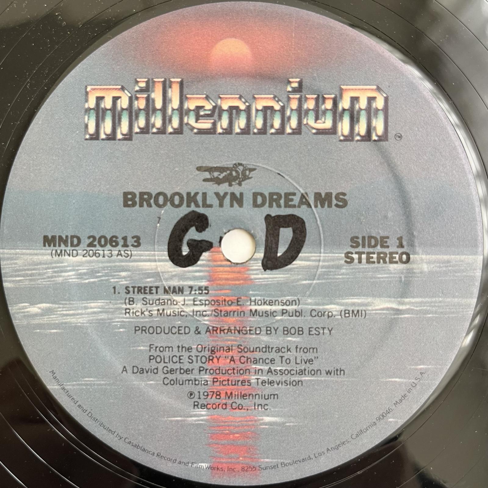 画像1: BROOKLYN DREAMS / STREET MAN