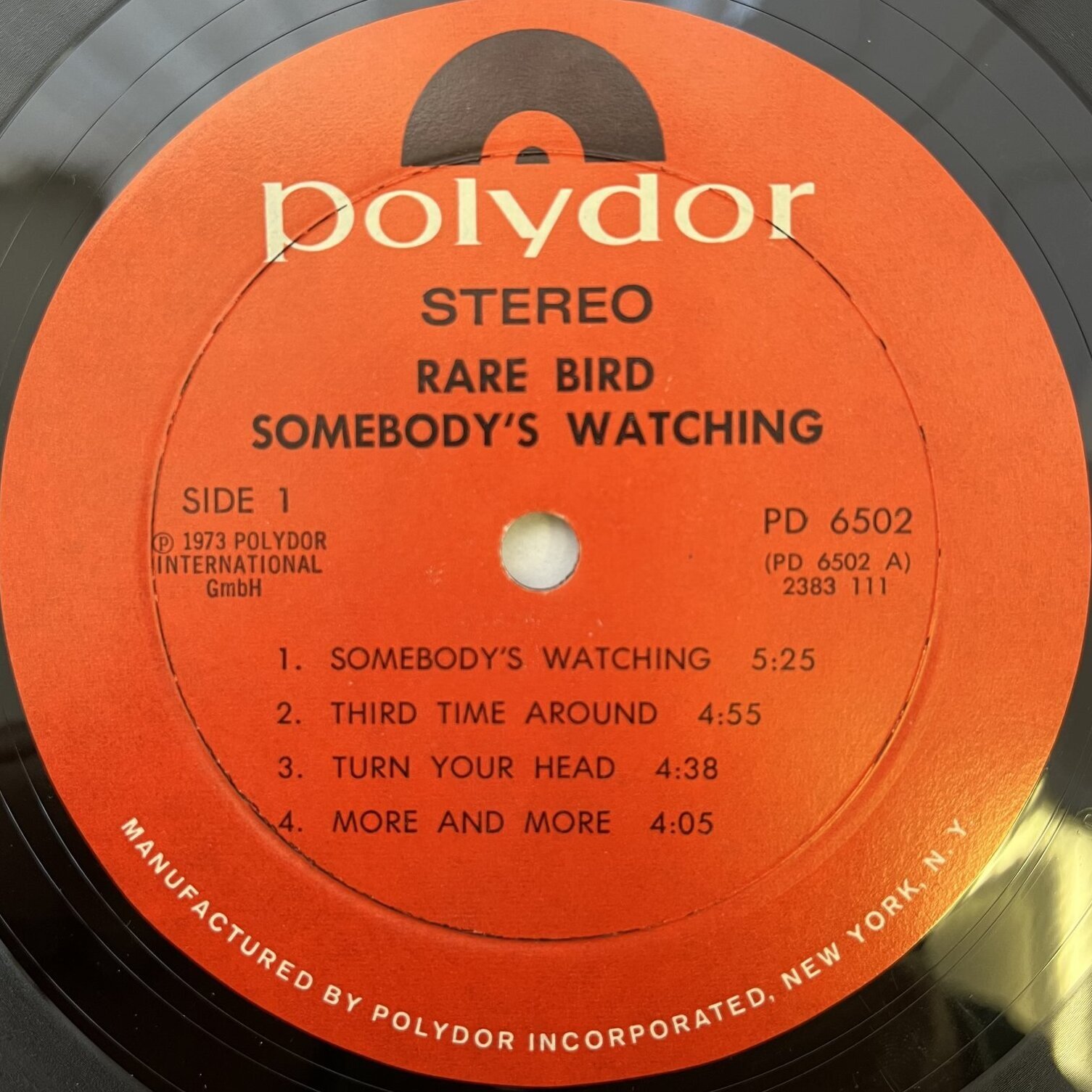 画像3: RARE BIRD / SOMEBODY'S WATCHING