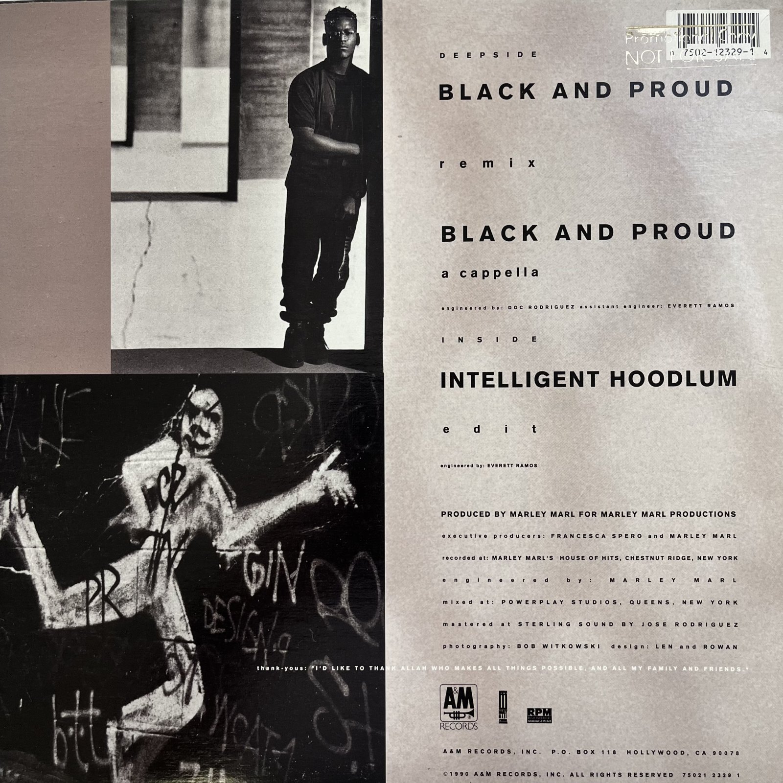 画像2: INTELLIGENT HOODLUM / BLACK AND PROUD