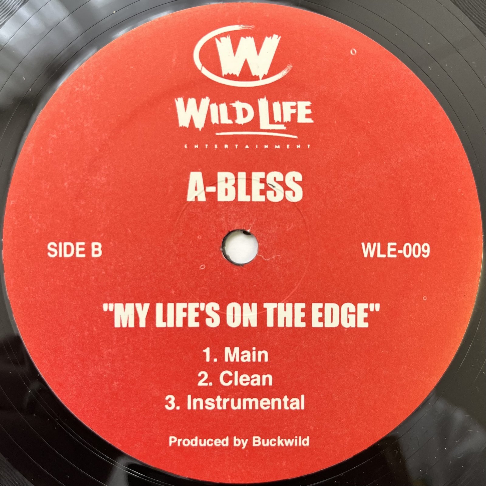 画像2: FAT JOE & BIG PUN / BEST BEHAVIOUR (REMIX) - A BLESS / MY LIFE'S ON THE EDGE
